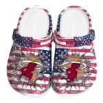 Fast Tempo Clogs, Fan Spirit Clogs NBA1040228260451